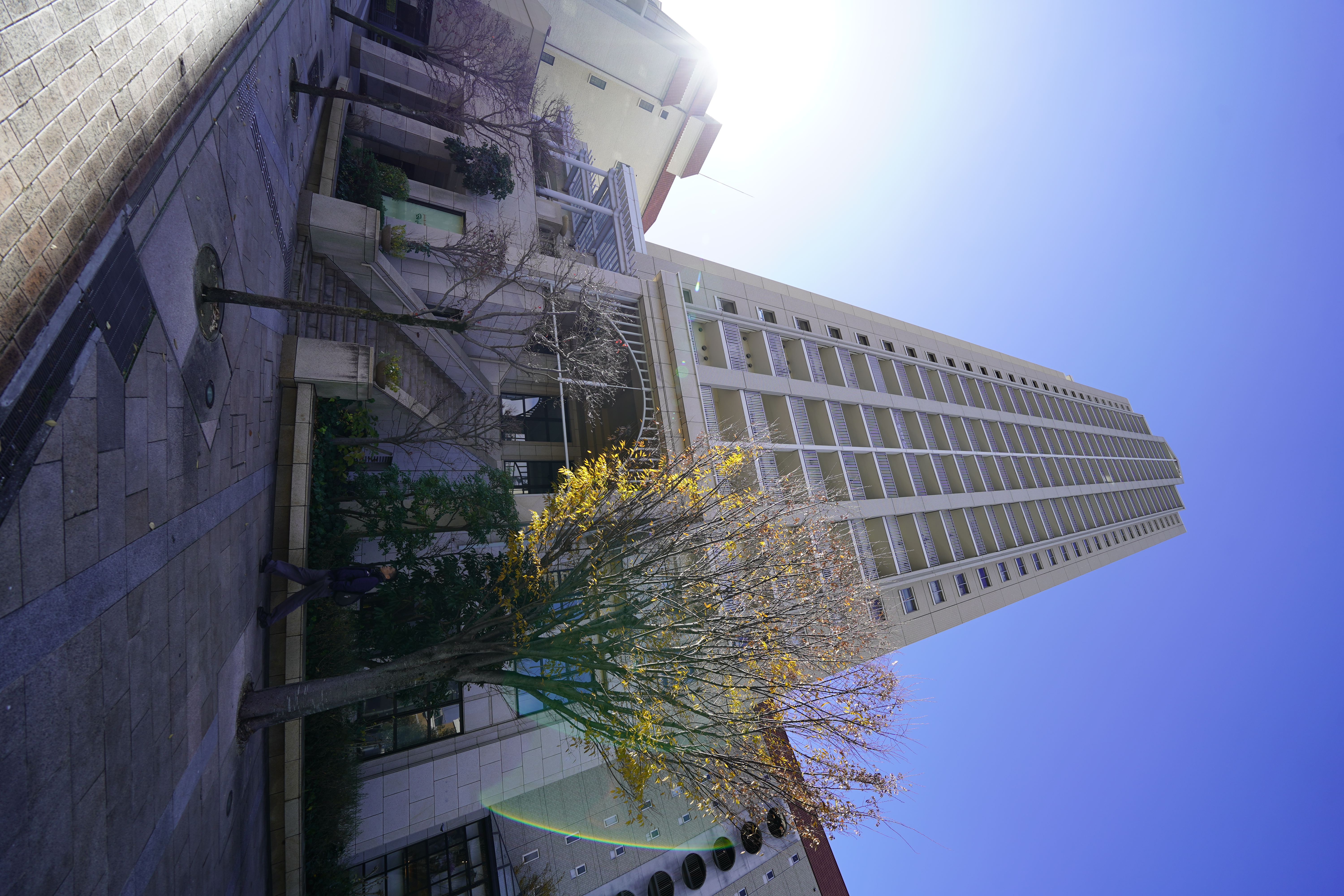 兵庫県宝塚市